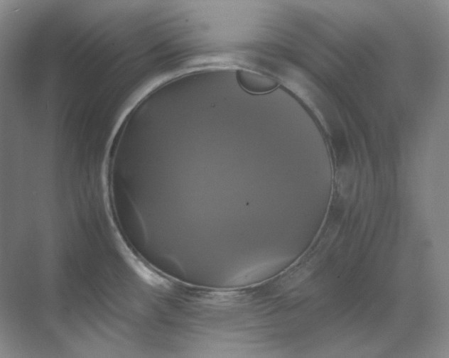 X0000070351482200606161303