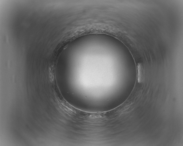 X0000070351491200606161303