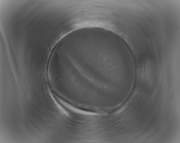 X0000070351521200606161303