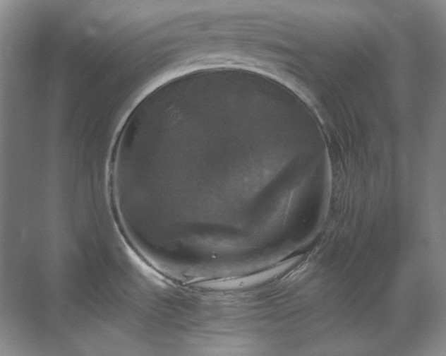 X0000070351535200606161303