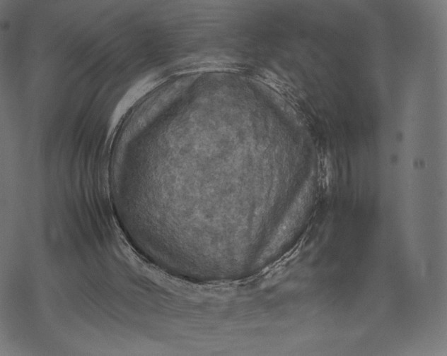 X0000070350004200606231609