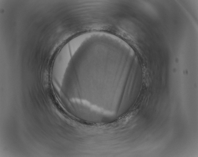 X0000070350012200606231609