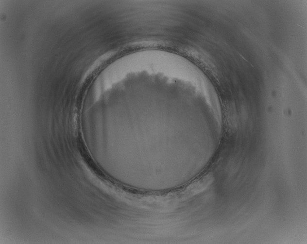 X0000070350016200606231609