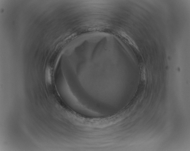 X0000070350026200606231608