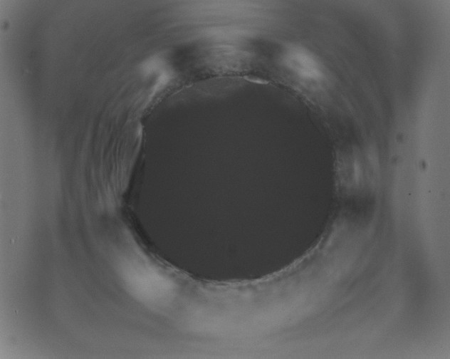 X0000070350029200606231608