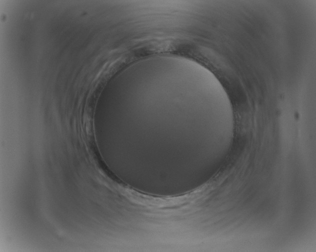 X0000070350035200606231608