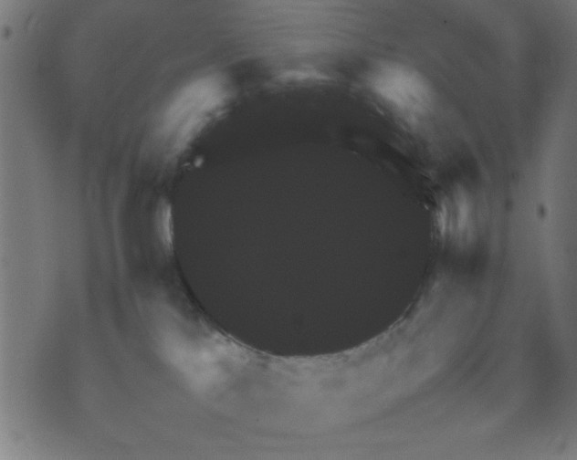 X0000070350041200606231608