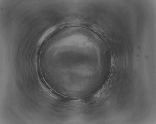 X0000070350054200606231607