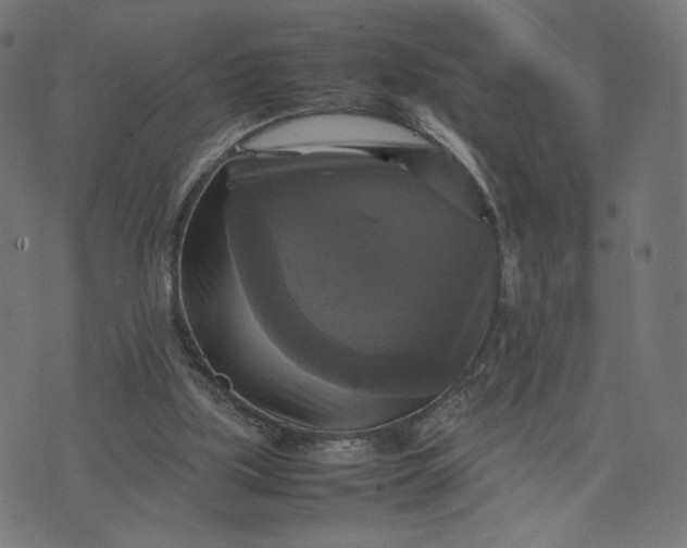 X0000070350059200606231607