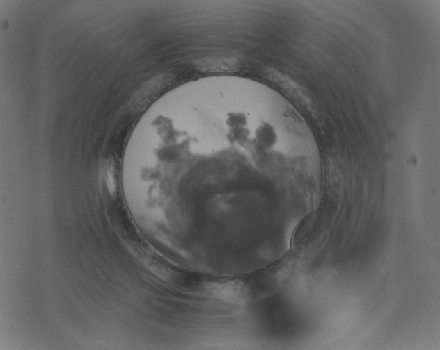 X0000070350069200606231608