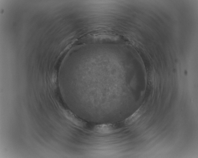 X0000070350082200606231608