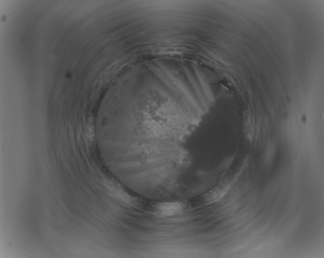 X0000070350085200606231608