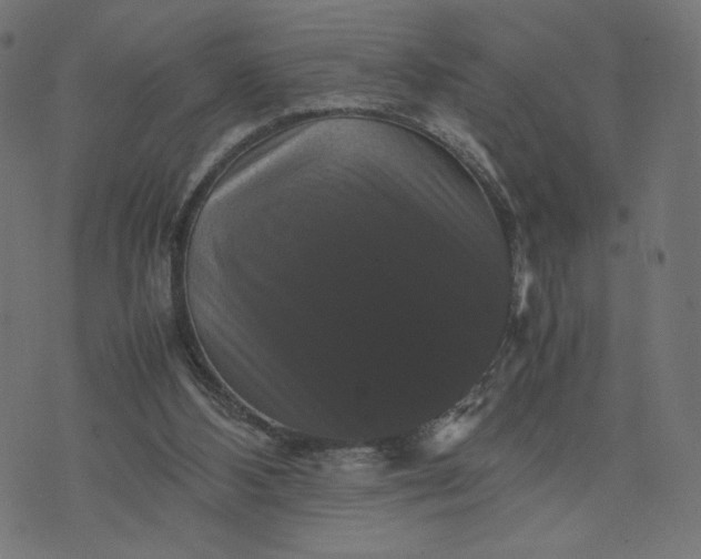 X0000070350108200606231607