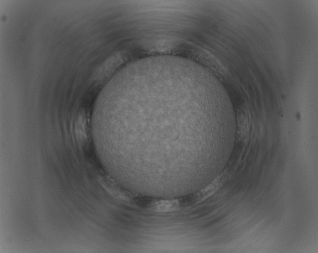 X0000070350126200606231607