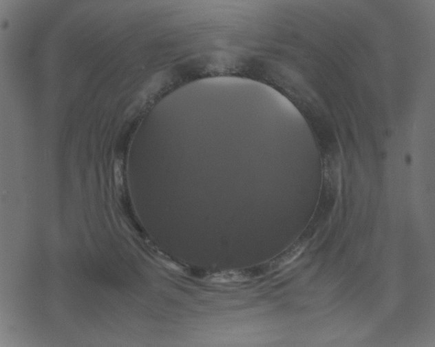 X0000070350127200606231607
