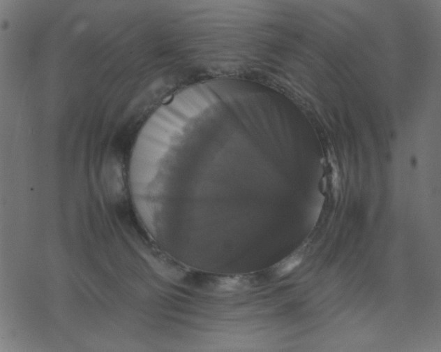 X0000070350130200606231607