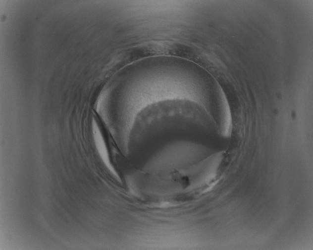 X0000070350131200606231607