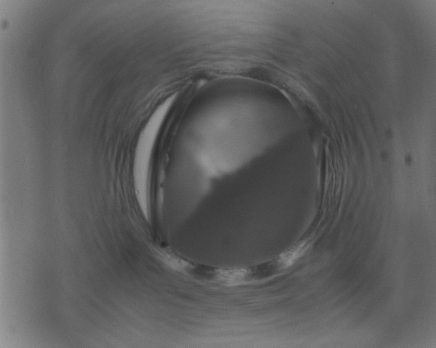 X0000070350143200606231606