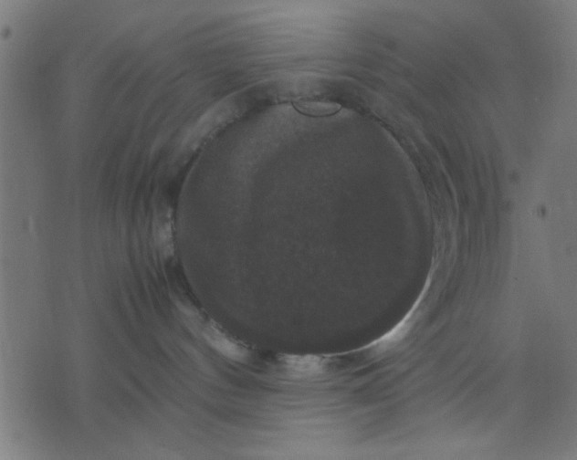 X0000070350144200606231606