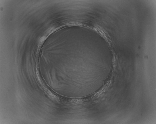 X0000070350145200606231606