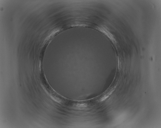 X0000070350157200606231606