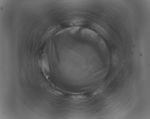 X0000070350169200606231606