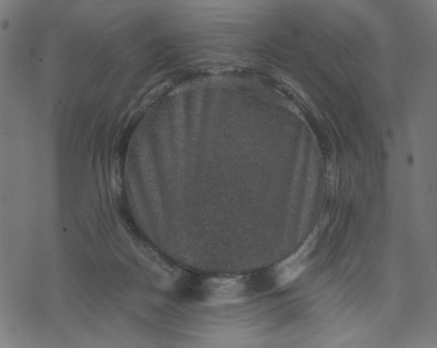 X0000070350170200606231606