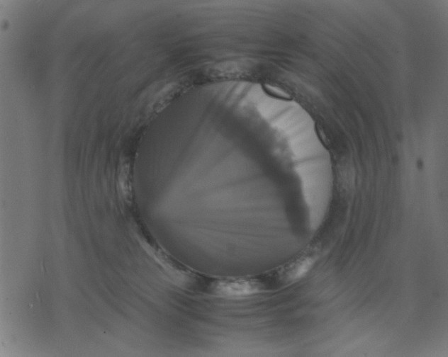 X0000070350181200606231606