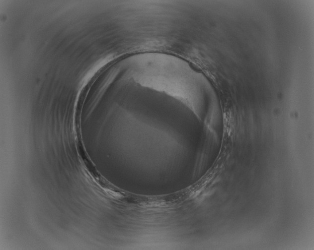 X0000070350196200606231606