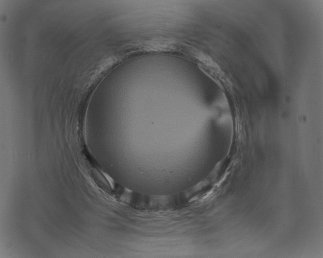X0000070350201200606231606