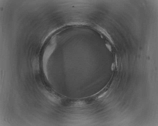 X0000070350204200606231605