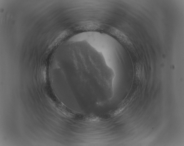 X0000070350206200606231605