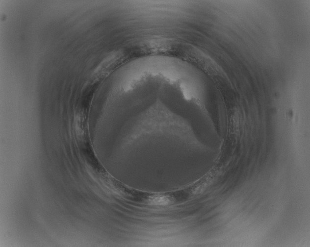 X0000070350218200606231605