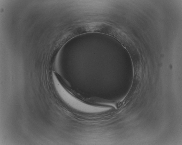 X0000070350219200606231605