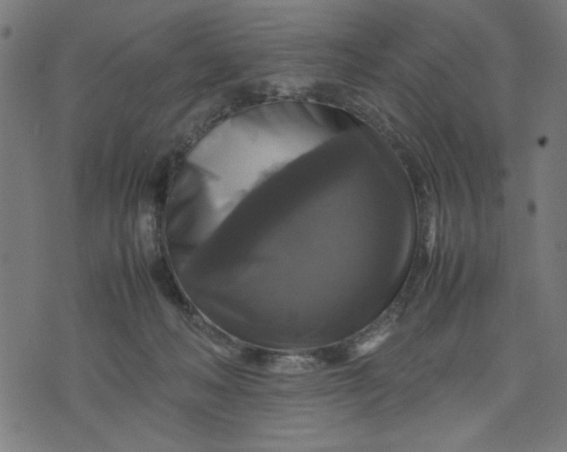 X0000070350222200606231605