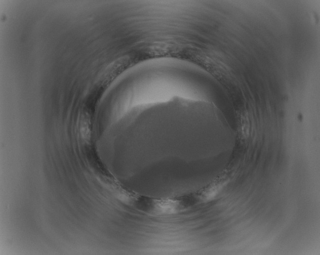 X0000070350226200606231605