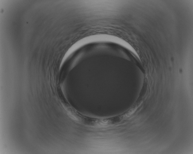 X0000070350235200606231605