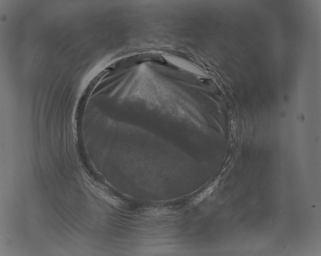 X0000070350246200606231604