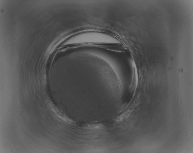 X0000070350247200606231604