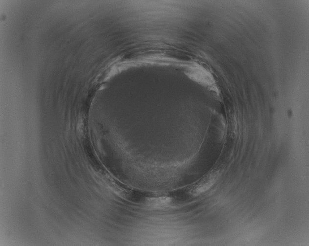 X0000070350266200606231605