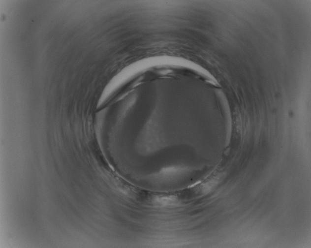 X0000070350283200606231605