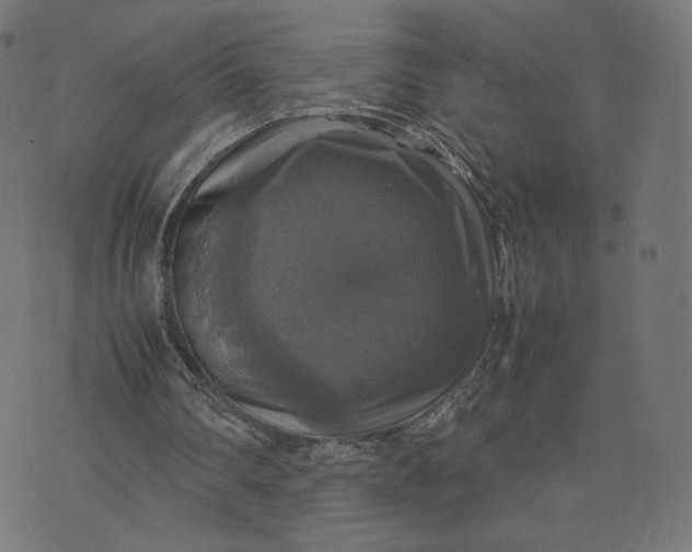 X0000070350290200606231604