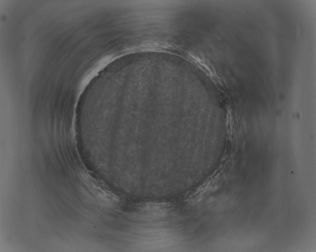 X0000070350292200606231604