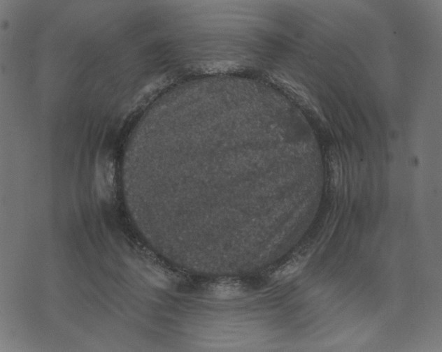 X0000070350308200606231604