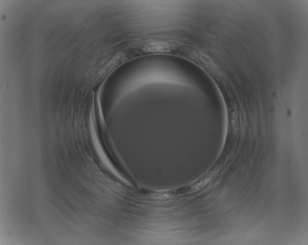 X0000070350322200606231604