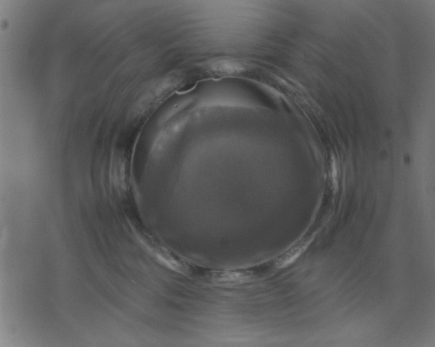 X0000070350330200606231603