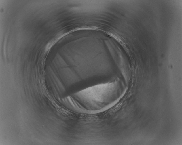 X0000070350337200606231603