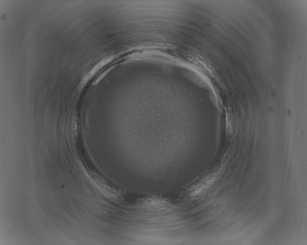 X0000070350348200606231603