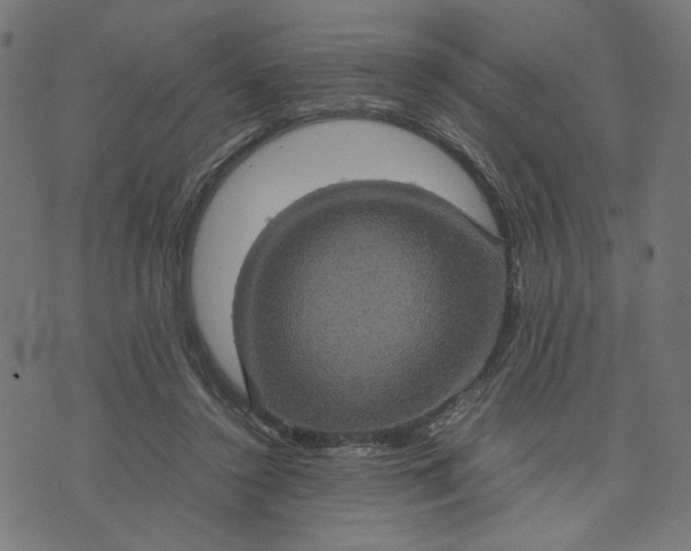 X0000070350356200606231603