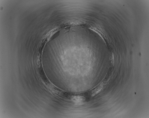 X0000070350360200606231603